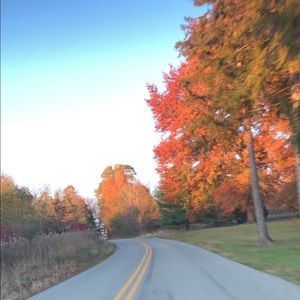 ***READ BEFORE SHOPPING***